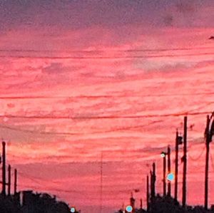 Meet your Posher, Marco